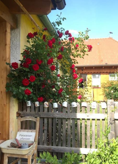Ferienhaus Mit Garten In Thermennaehe Strebersdorf Esterno foto